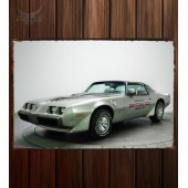 Металлическая табличка Pontiac Firebird Trans Am T A 6.6 RPO L78 10th Anniversary Daytona 500 Pace Car (Y89)